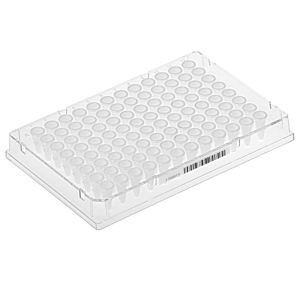 Diamond Shell 96-Well Full Skirt PCR Plate Clear Frame - White Wells (Barcoded) Case