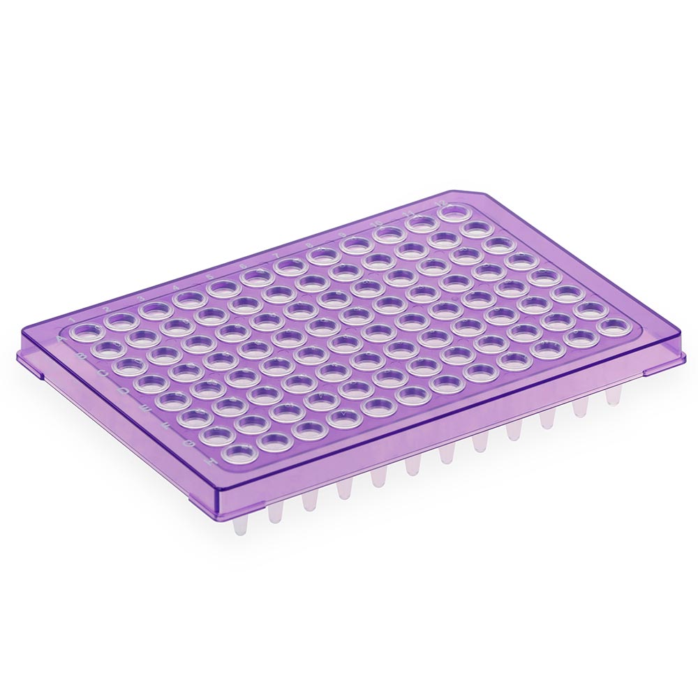 Diamond Shell 96-Well Half Skirt PCR Plate Violet Frame Case