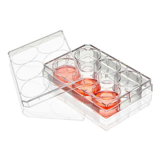 Globe Scientific Diamond SureGro 6-Well Cell Culture Plate TC-Treated TC-PLT-6