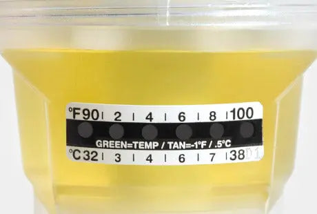 Globe Scientific Thermometer Strips, Graduated in both Fahrenheit (90-100¬∞) and Celsius (32-38¬∞) 112215 Laboratory Equipment