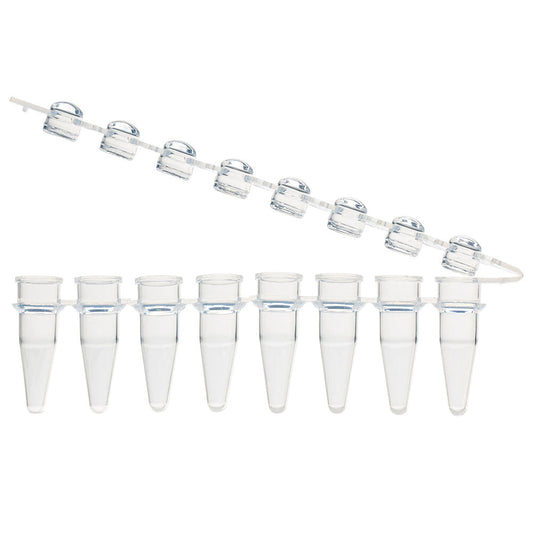 0.2 mL PCR 8-Strip Tubes, Attached Hinged Dome Caps, Natural — 1 Pack (125 Strips) | Globe Scientific