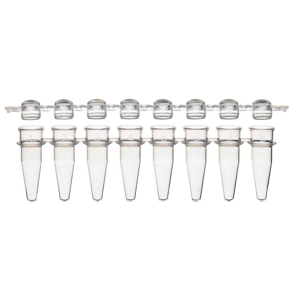 0.2 mL PCR 8-Strip Tubes, Polypropylene, Separate Clear Dome Caps — 8- & 12-Strip Formats, 120/Pack | Globe Scientific