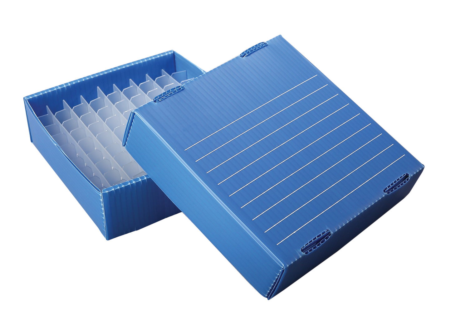 120376 - Heathrow Corrugated PP Cryogenic Freezer Box for Microtubes | Waterproof, Flat-Pack, 1.5/2 mL / 81-Place (Blue)